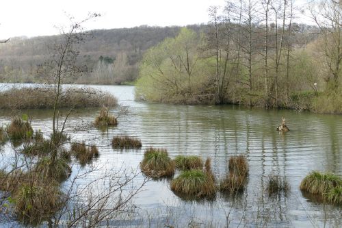 lake water waters