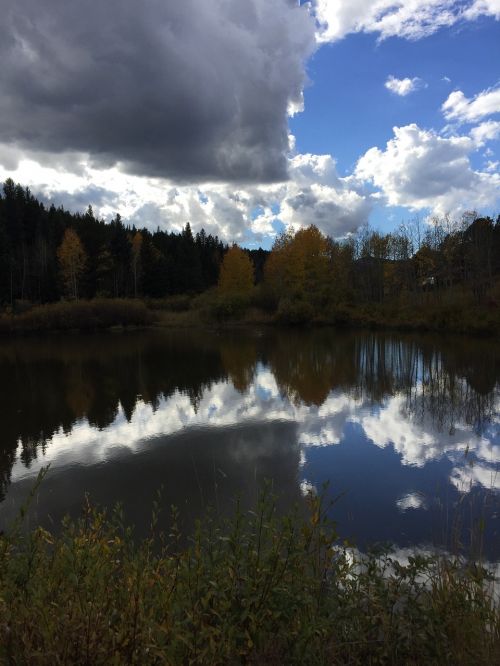 lake nature forest