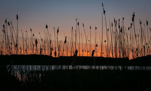 lake sunset water