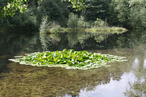 lake pools biotope