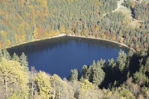 lake autumn forest