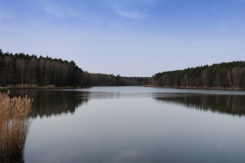 lake trees reflection