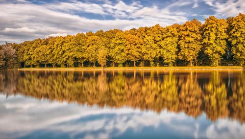lake mirroring forest