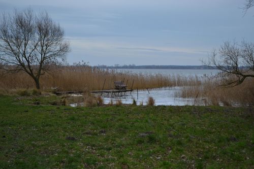 island of usedom web tree