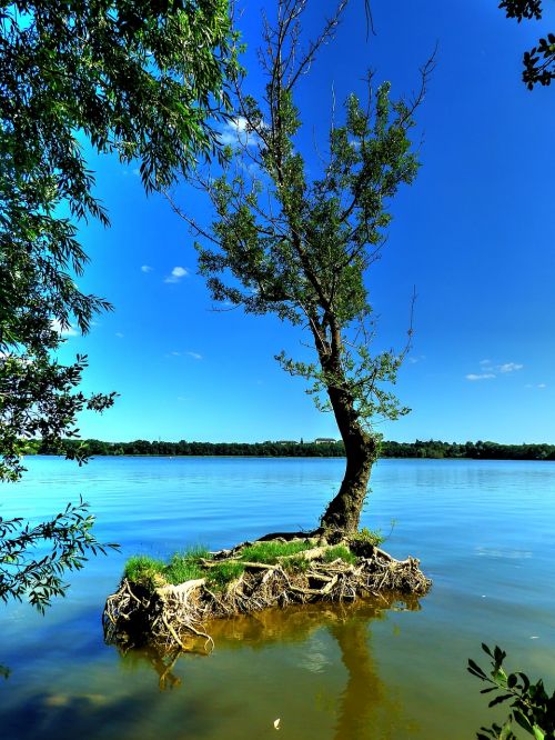 lake trees landscape