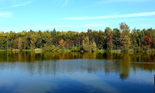 lake forest autumn