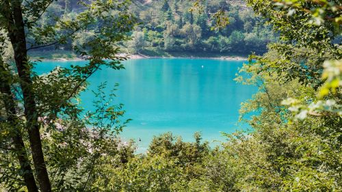 lake water idyll