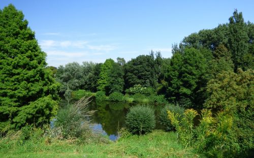 lake pond green