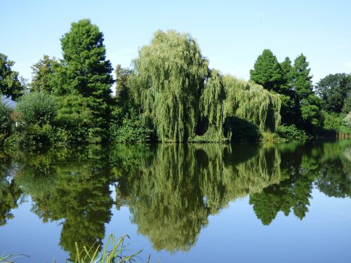 lake mirroring pond