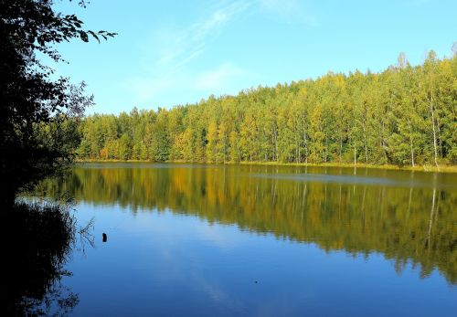 lake forest waldsee