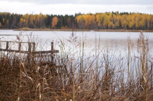 lake landscape silence