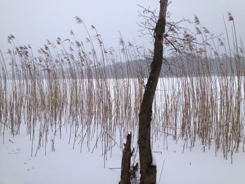 lake winter ice