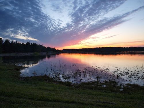 lake swan sunset