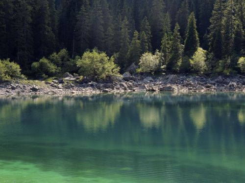 lake bergsee green