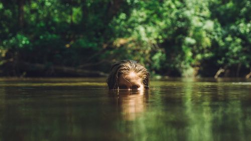 lake nature person