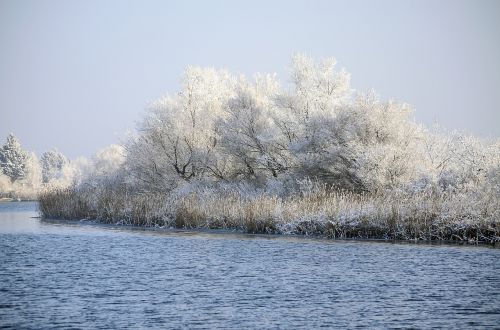 lake winter frost