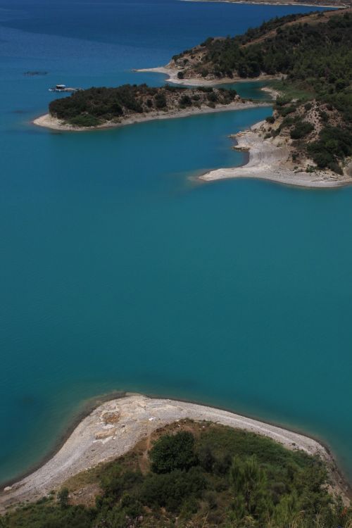 lake dam tree