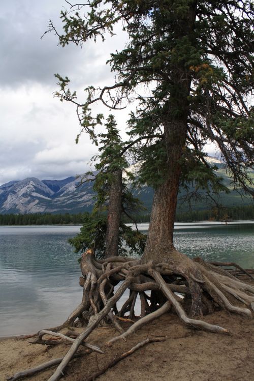 lake nature landscape