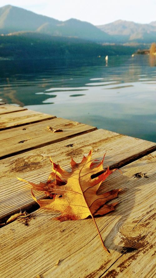 lake autumn nature