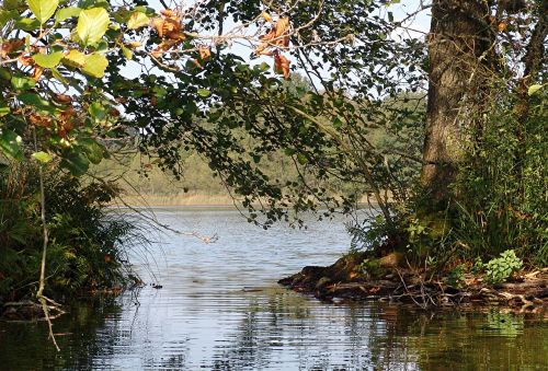 lake pond water