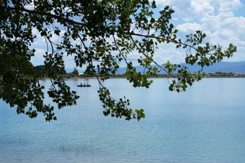 lake canoe leaves