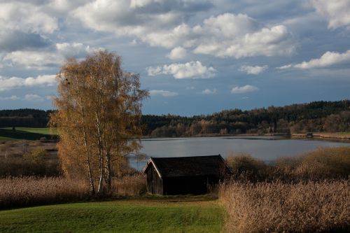 lake tree meadow