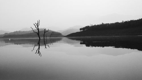 lake black white