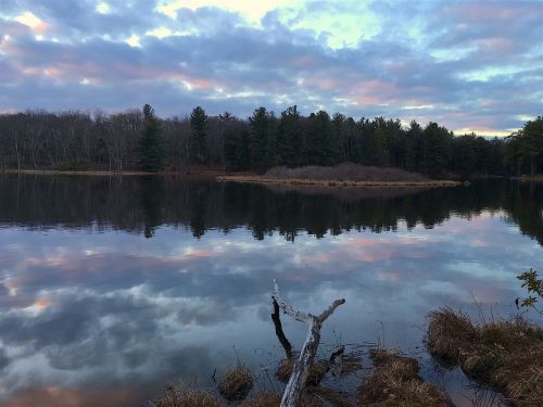 lake branch sunset