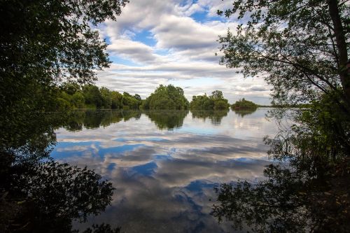 lake trees water