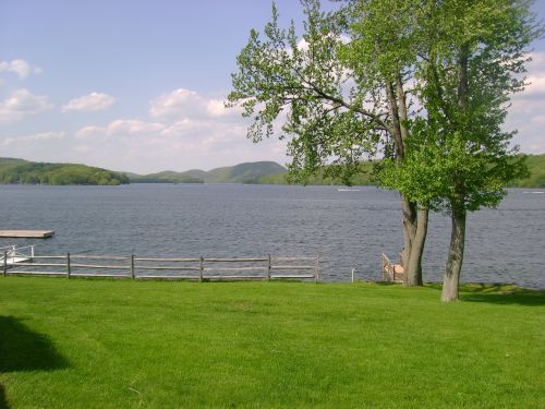 lake summer landscape
