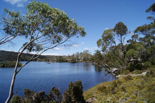 lake nature tasmania