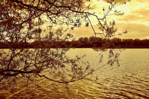 lake trees nature