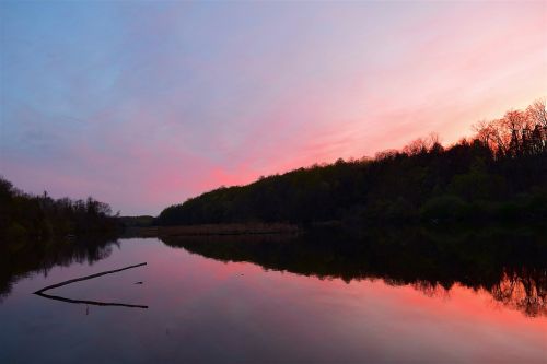 lake sunset trees