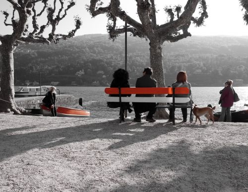 lake bench lake front