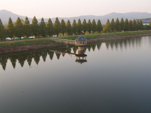 lake wood landscape