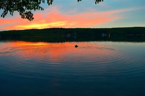 lake sunset ripple