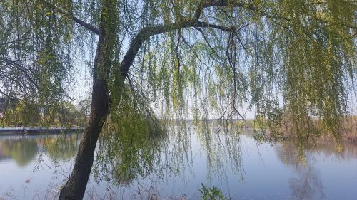 lake view walk