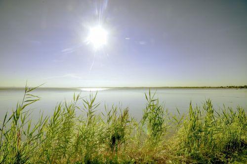 lake sunset reeds