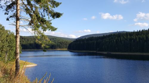 lake fir water