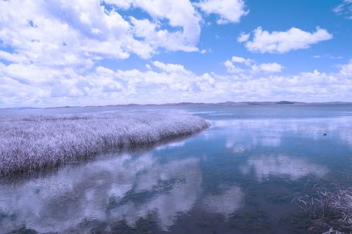 lake water reflection