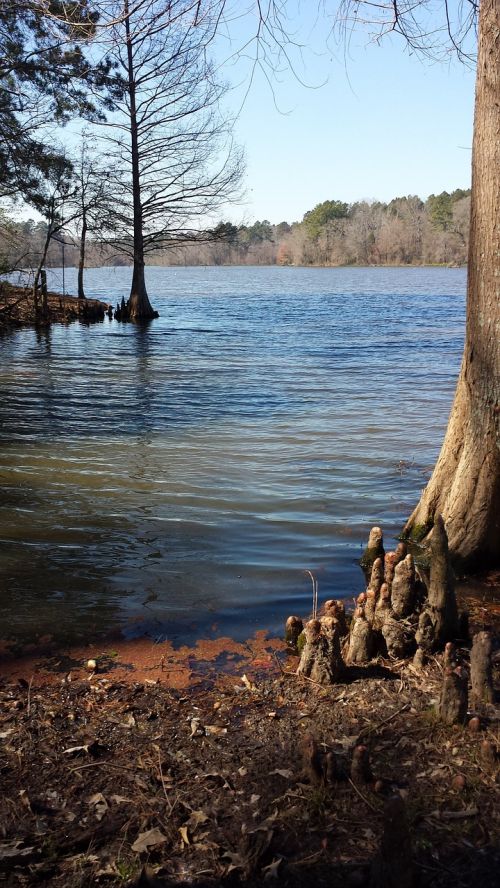 lake sky trees