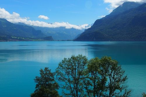 lake mountains lake thun