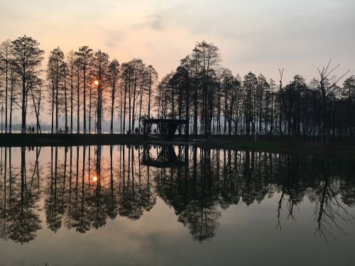 lake tree reflection