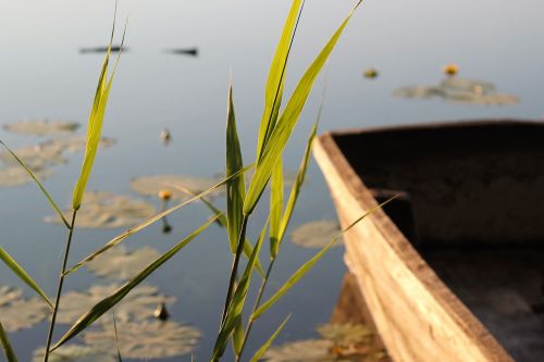 lake boat cane