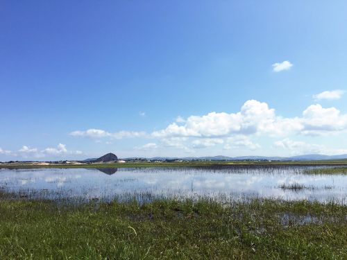 lake blue sky grassland