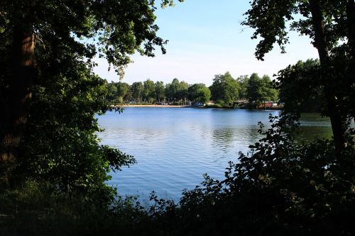 lake trees beach