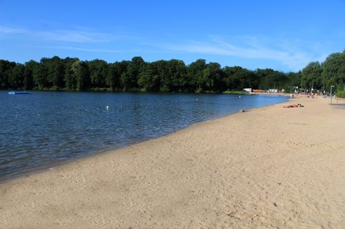 lake trees beach