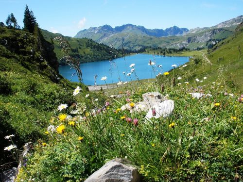 lake alps engelberg