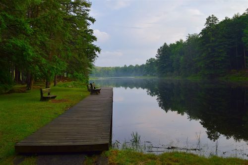 lake dock wood