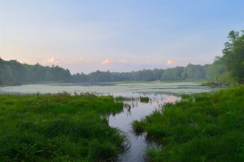 lake evening nature